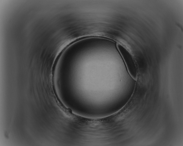 X0000092281332200710041404