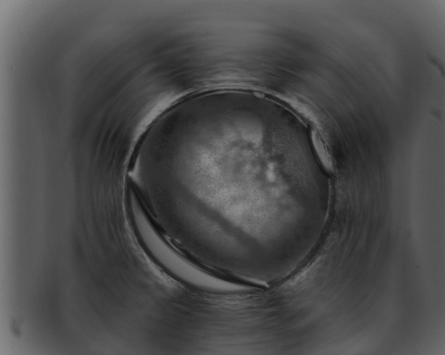 X0000092281333200710041404