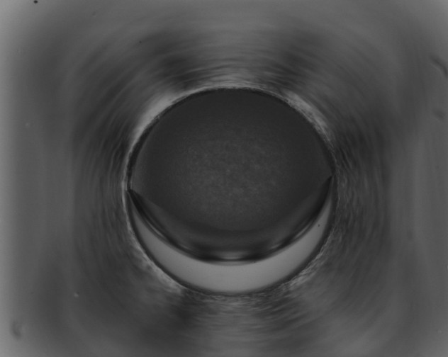 X0000092281334200710041404