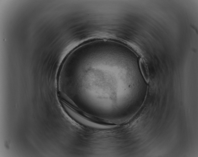 X0000092281335200710041404