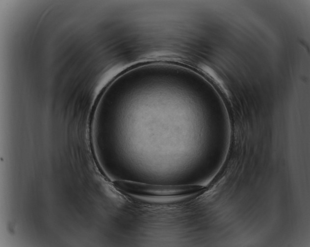 X0000092281336200710041404