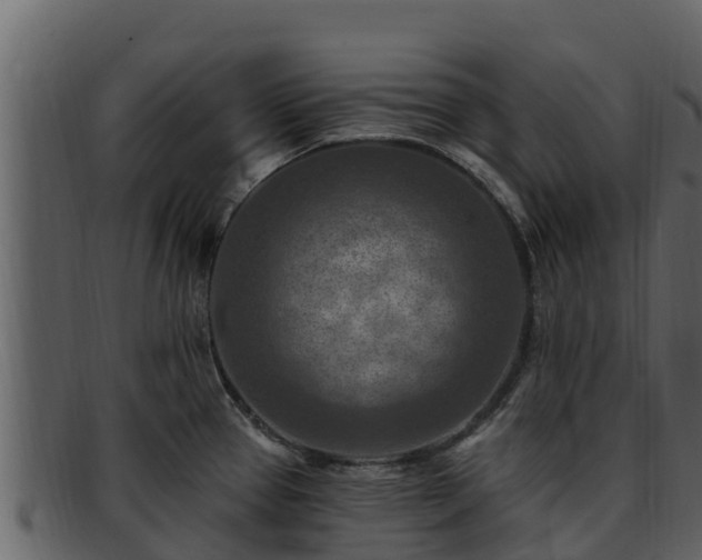 X0000092281337200710041404