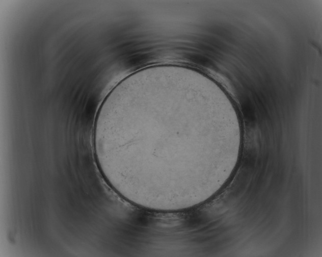 X0000092281338200710041404