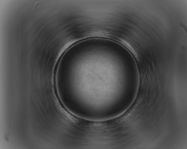 X0000092281339200710041404