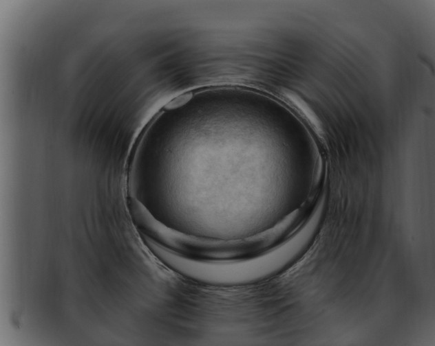 X0000092281340200710041404