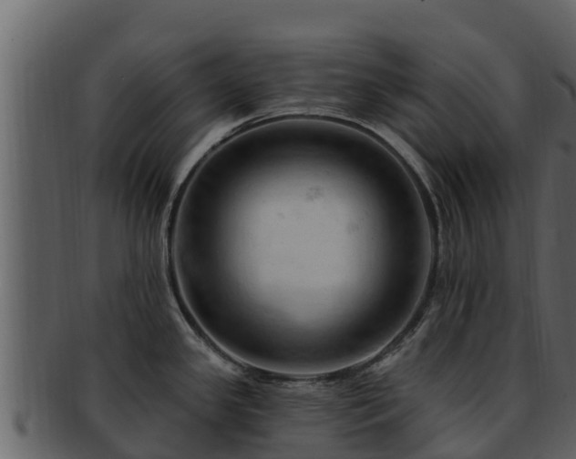 X0000092281341200710041404