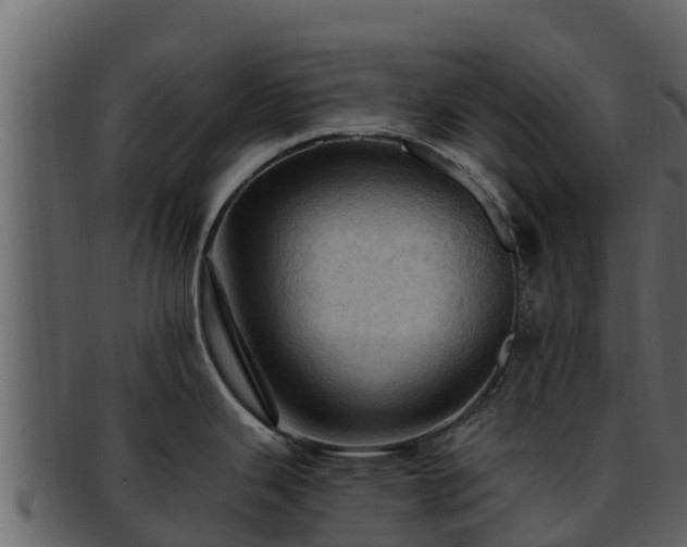 X0000092281343200710041404