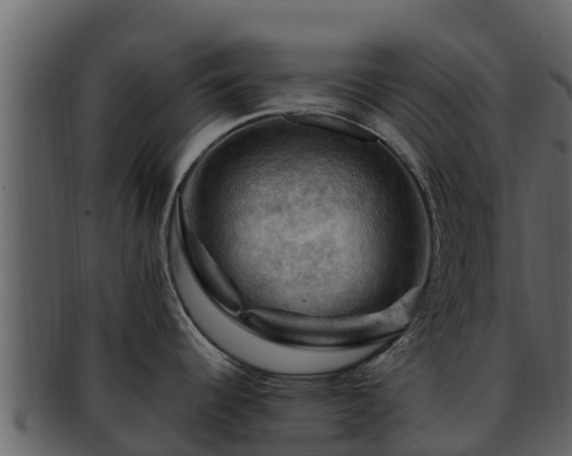 X0000092281344200710041404