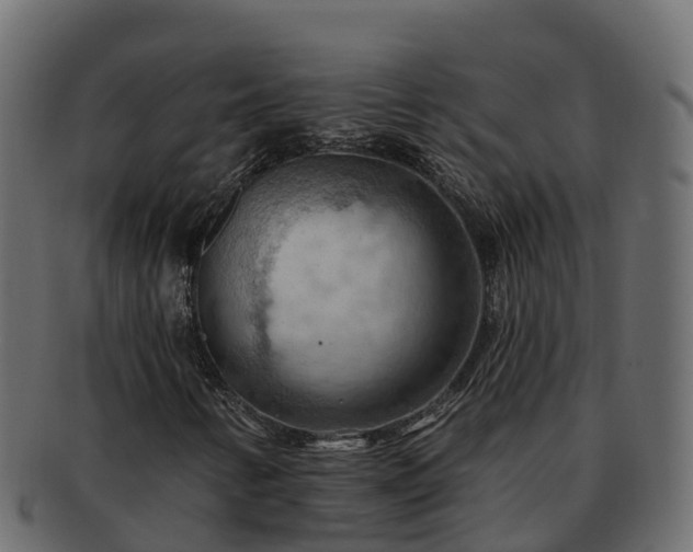 X0000092281346200710041403