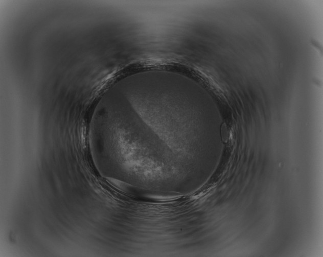 X0000092281348200710041403