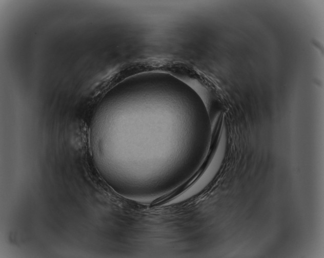 X0000092281349200710041403