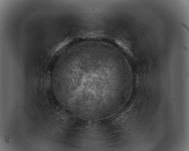 X0000092281350200710041403