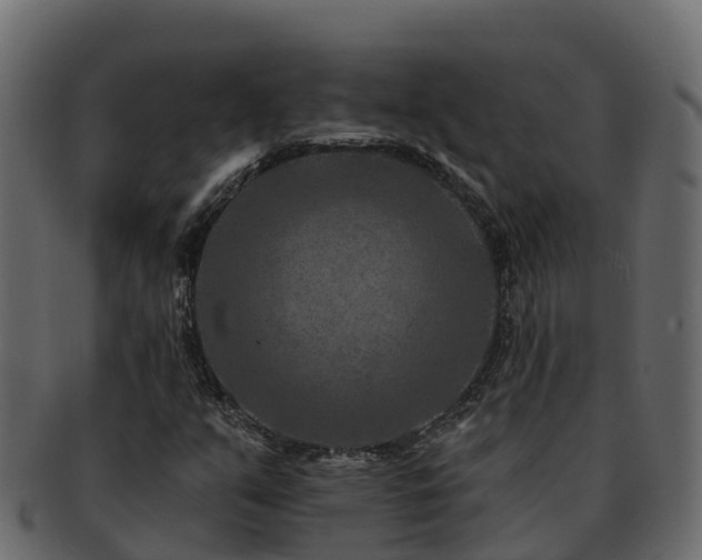 X0000092281351200710041403