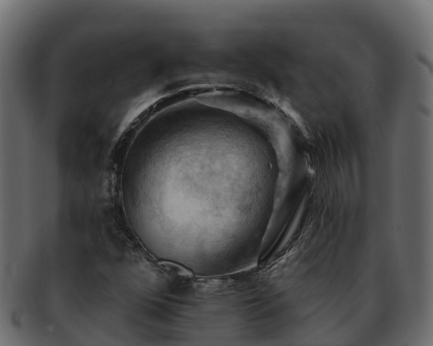 X0000092281352200710041403