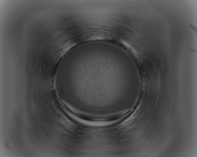 X0000092281353200710041403