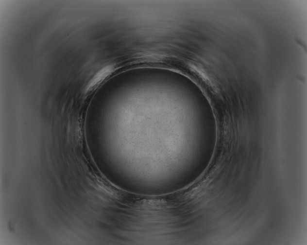 X0000092281354200710041403