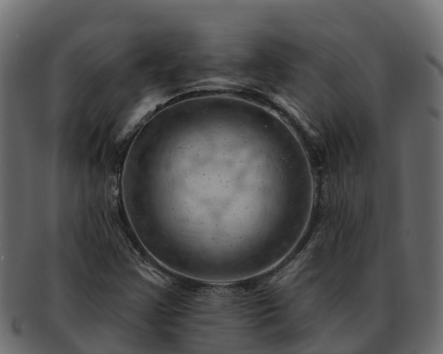 X0000092281355200710041403