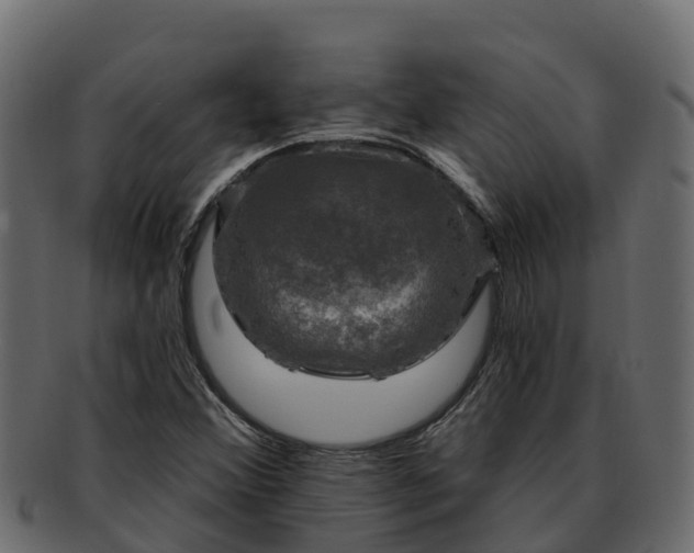 X0000092281356200710041403