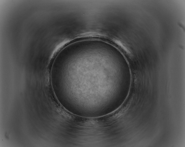 X0000092281358200710041403