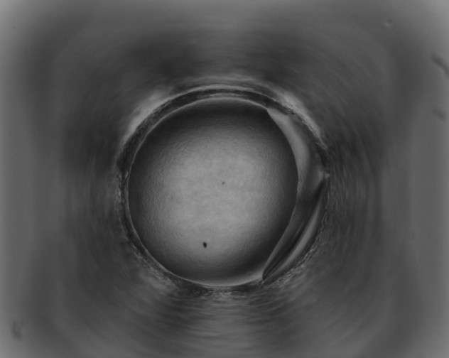 X0000092281360200710041403