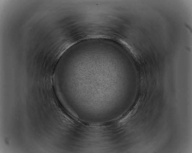 X0000092281361200710041403