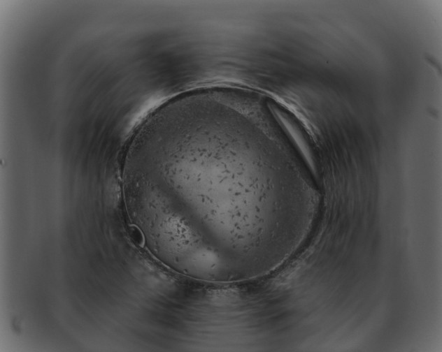 X0000092281363200710041403