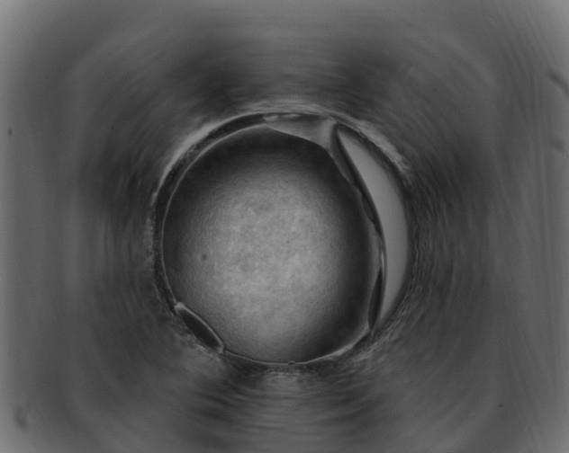 X0000092281364200710041403