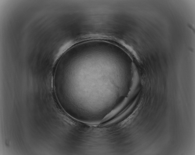 X0000092281365200710041403