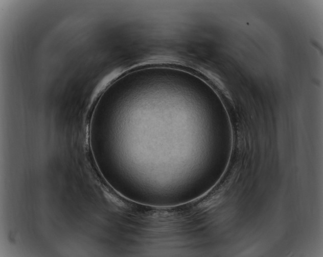 X0000092281366200710041403