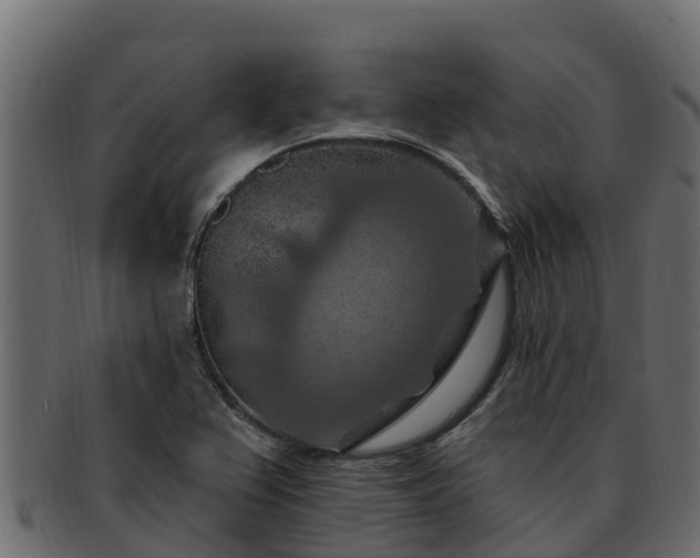 X0000092281367200710041403