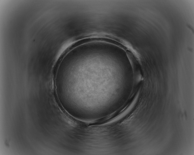 X0000092281368200710041403