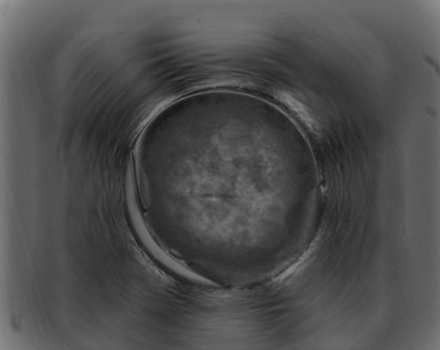 X0000092281369200710041403