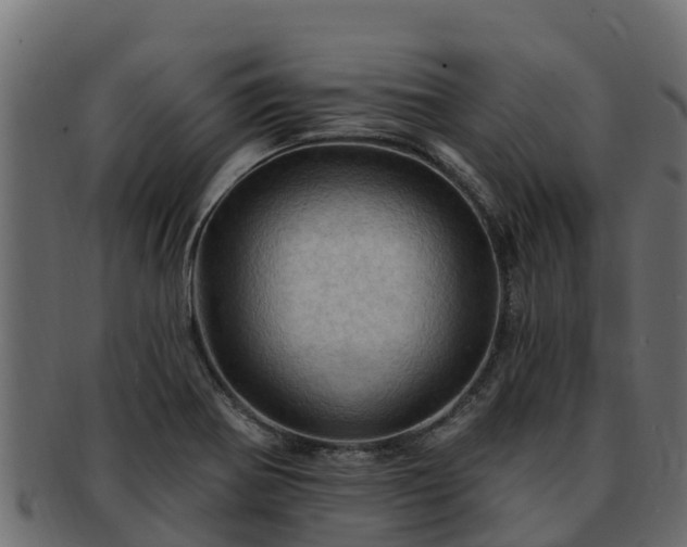 X0000092281370200710041403