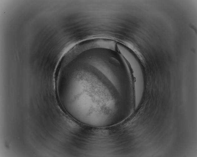 X0000092281372200710041403