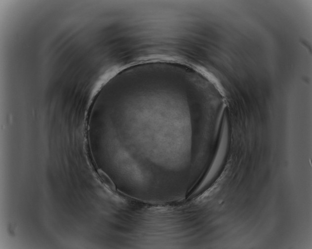 X0000092281373200710041403