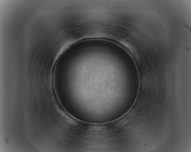 X0000092281374200710041403