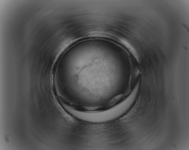 X0000092281376200710041403