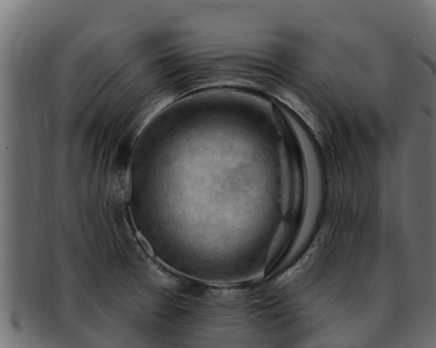 X0000092281377200710041403