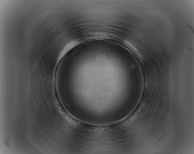 X0000092281378200710041403