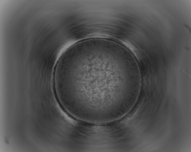 X0000092281379200710041403