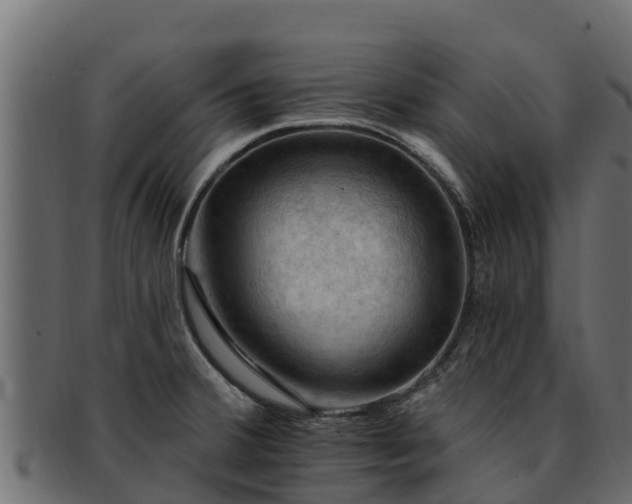 X0000092281380200710041403