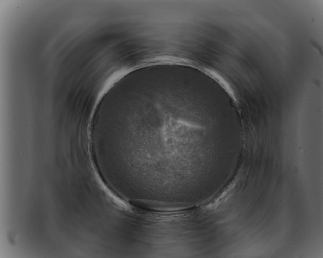 X0000092281381200710041403