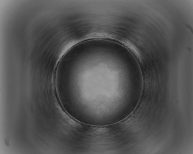 X0000092281382200710041403