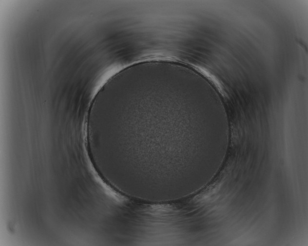 X0000092281383200710041403