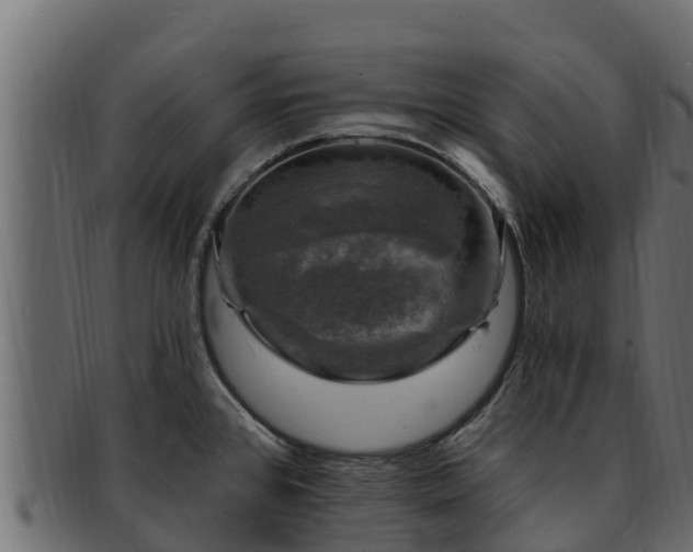 X0000092281384200710041403