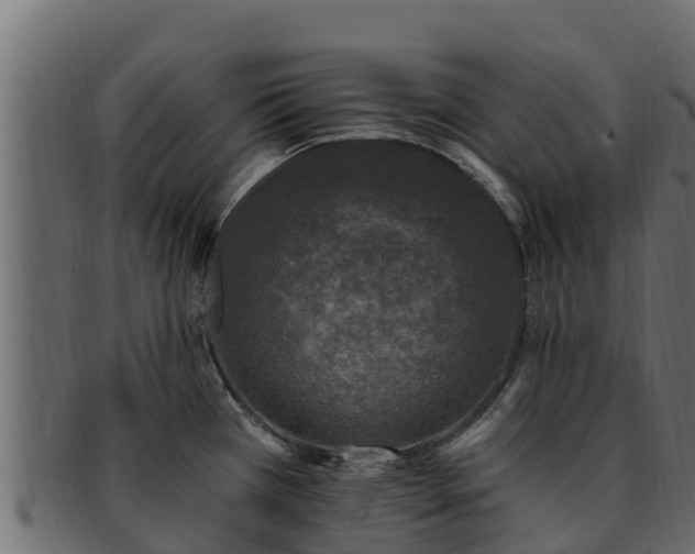 X0000092281385200710041403