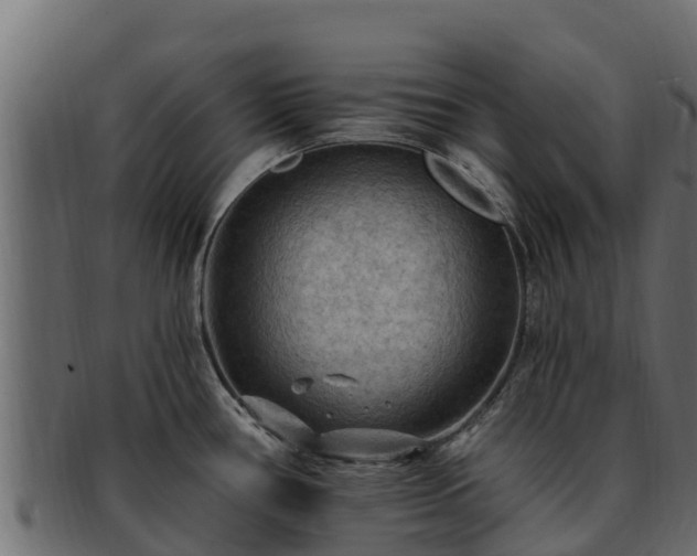 X0000092281386200710041403