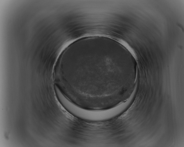 X0000092281388200710041403