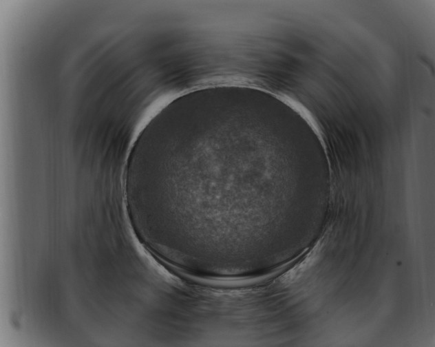 X0000092281389200710041403