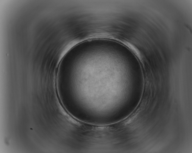 X0000092281390200710041403